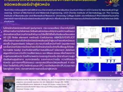 Read more about the article การวิเคราะห์ไฟไนต์เอลิเมนต์ของการแทงไมโครนีดเดิลชนิดพอลิเมอร์เข้าสู่ผิวหนัง